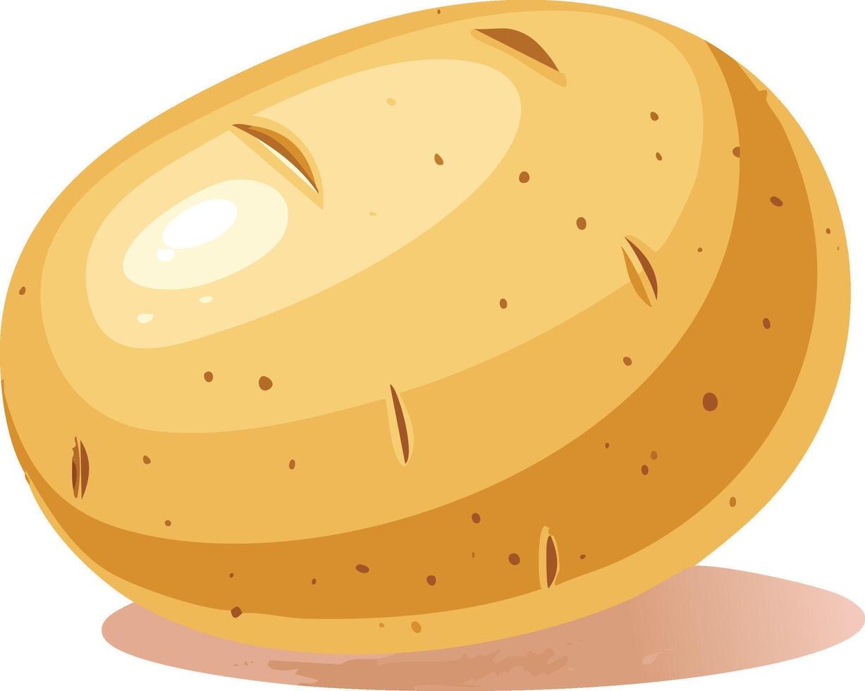 fresh and beautiful potato vector