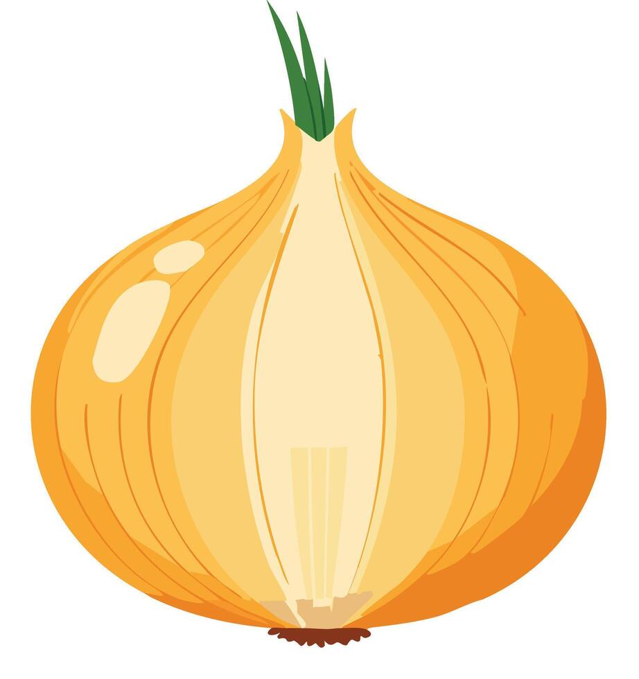 fresh and beautiful onions vector