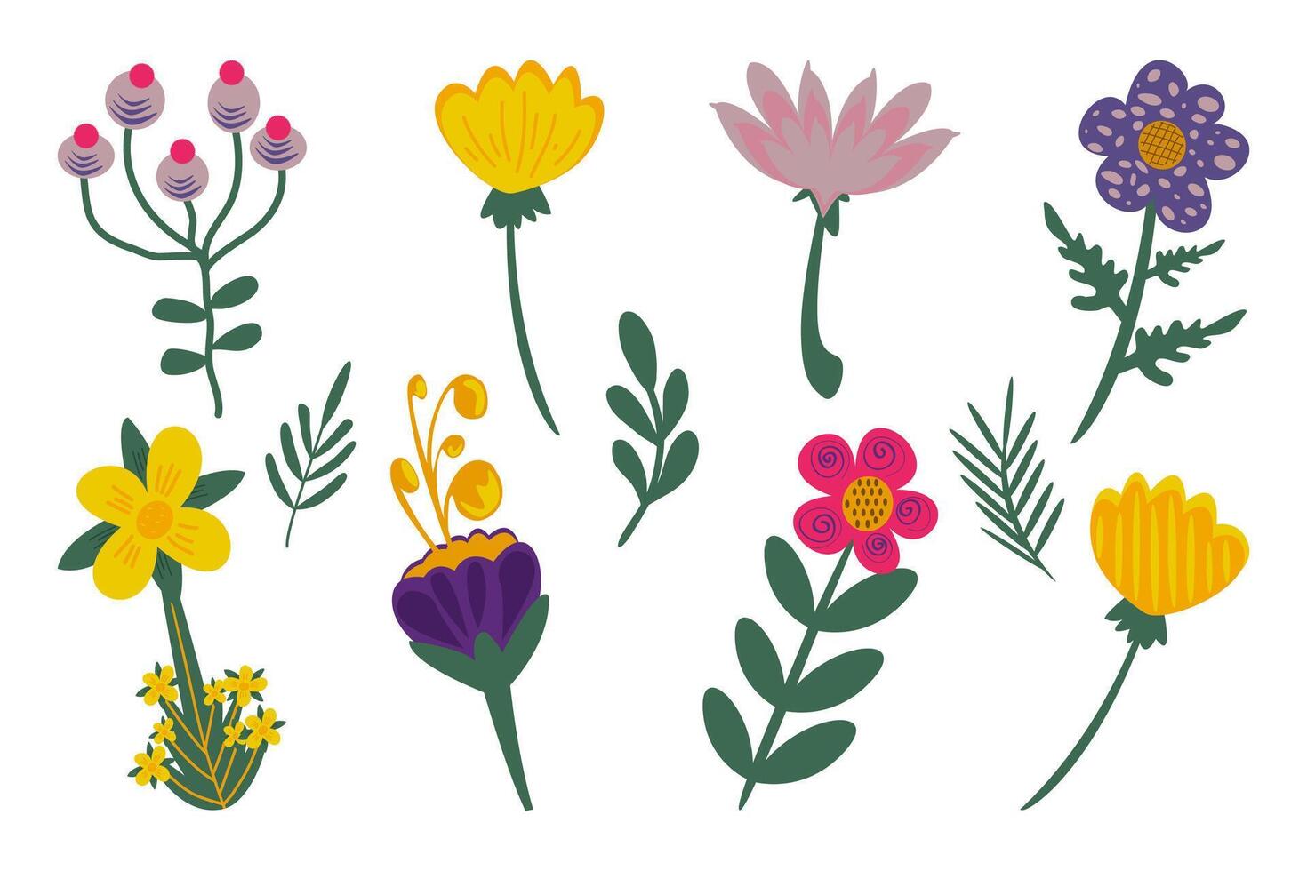 Floral set. Flowers collection on the white background. Drawing illustration vector
