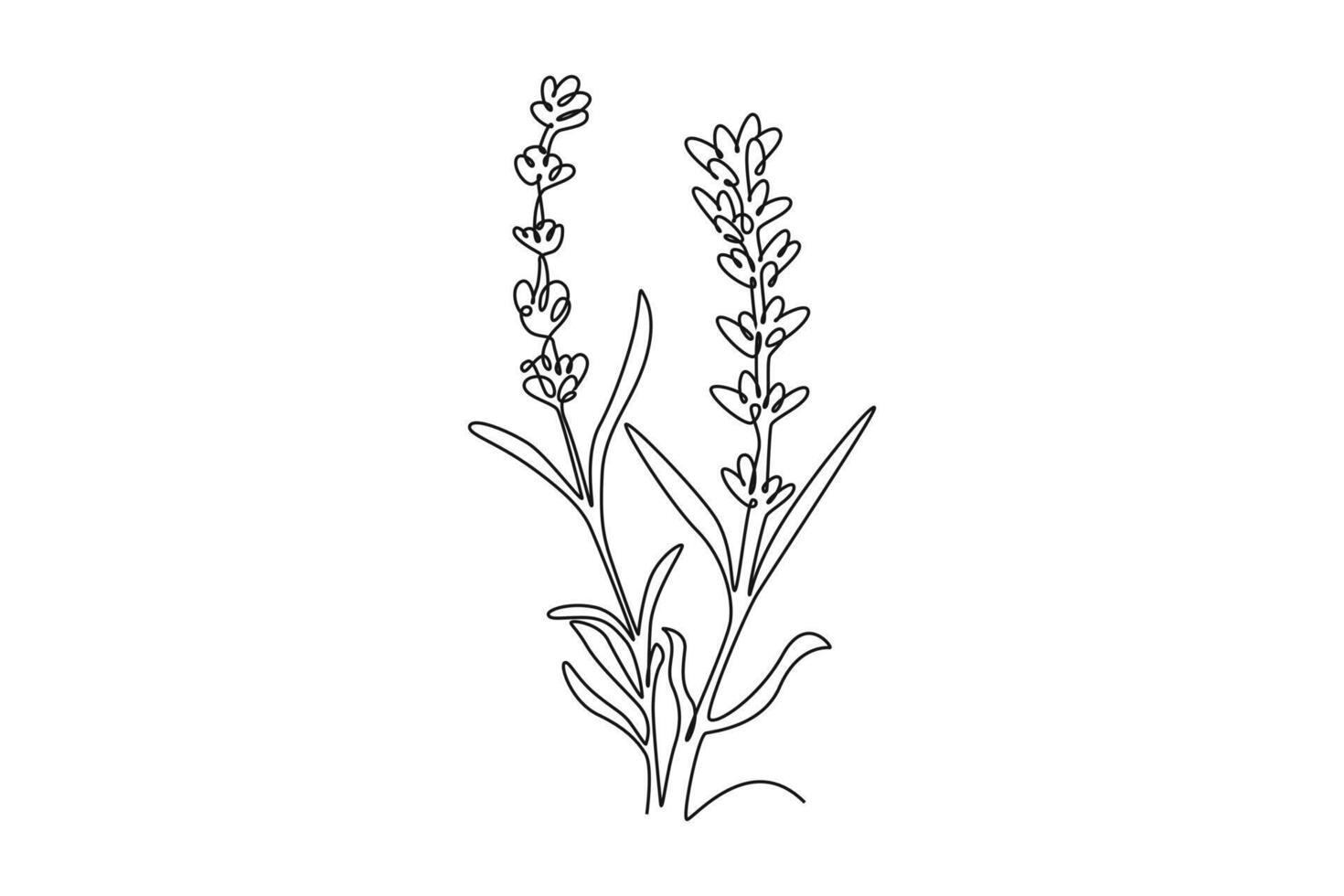 Printable decorative lavender flower concept for home wall decor vector