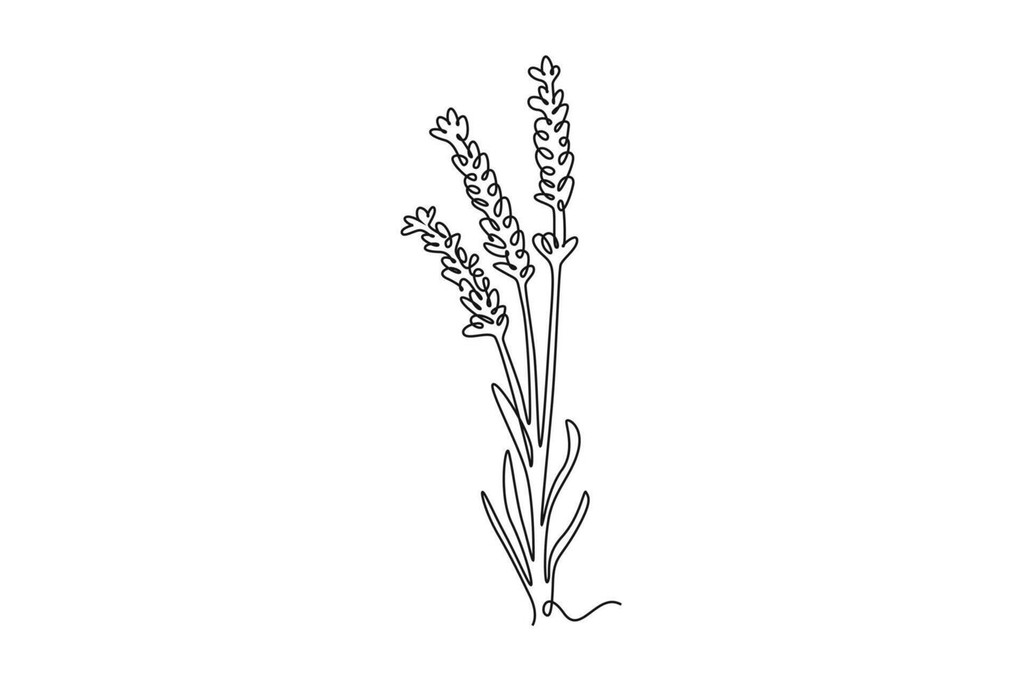 Printable decorative lavender flower for home wall decoration art poster vector