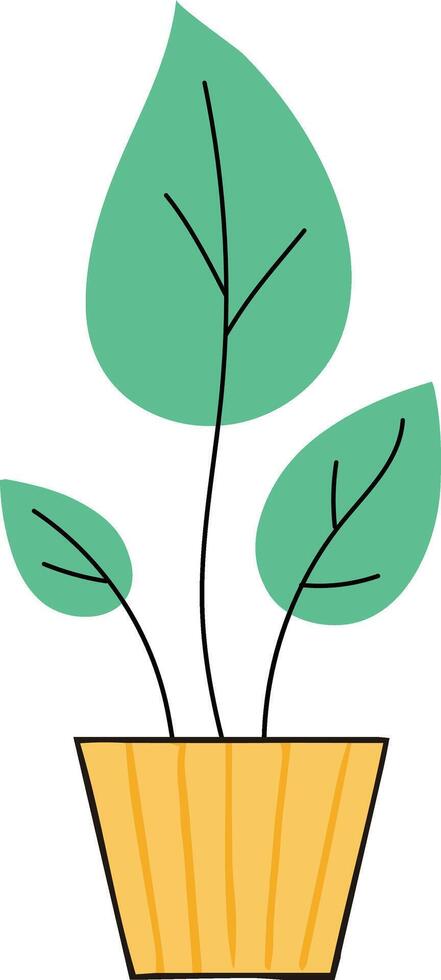 Flat illustration house plant modern line houseplant icon vector