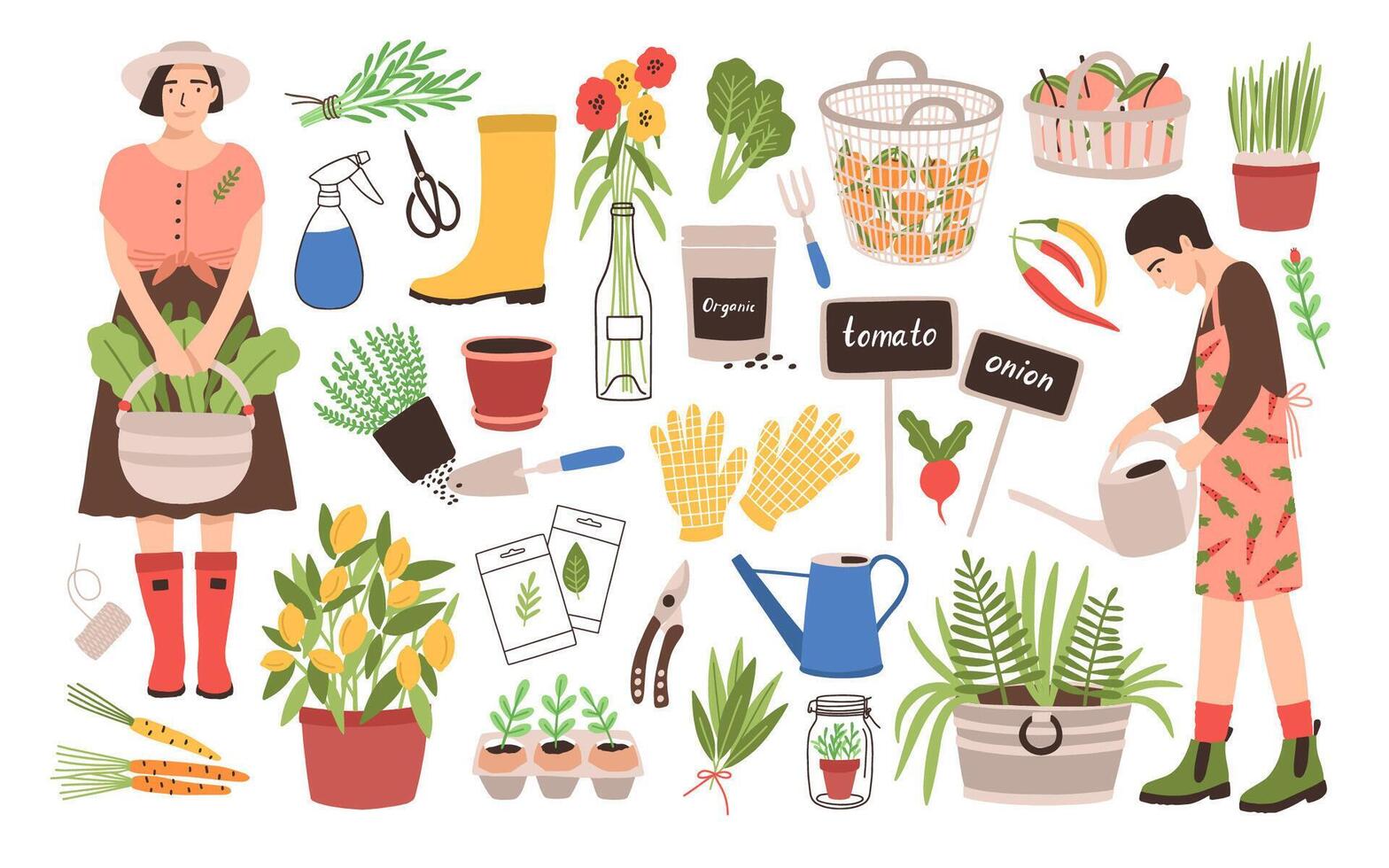 Collection of two female gardeners and gardening tools - watering can, fruit baskets, seeds, pruner, trowel, rubber boots, gloves, seedlings, potted plants. Cartoon illustration in flat style vector