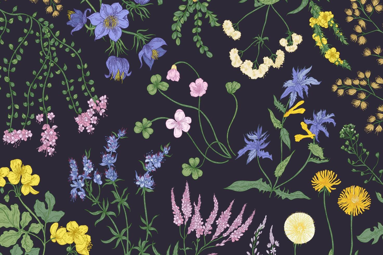 Beautiful horizontal botanical background with romantic blooming wild flowers, summer meadow flowering herbs and herbaceous plants. Elegant floral backdrop. Natural realistic illustration vector