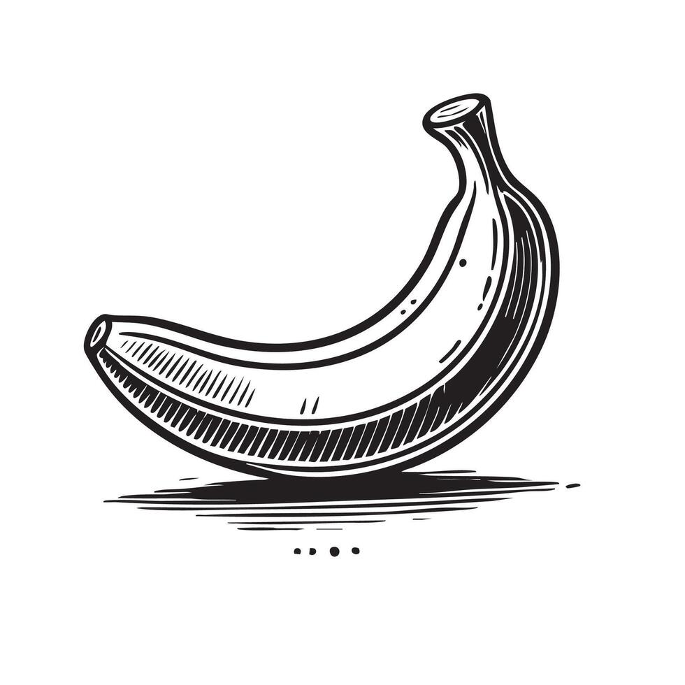 A black and white drawing of a banana vector