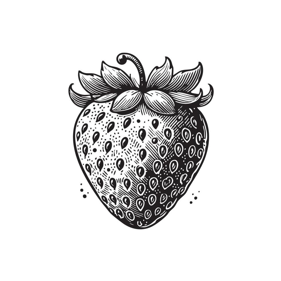 Strawberry Engraving Illustration for Artistic Projects vector