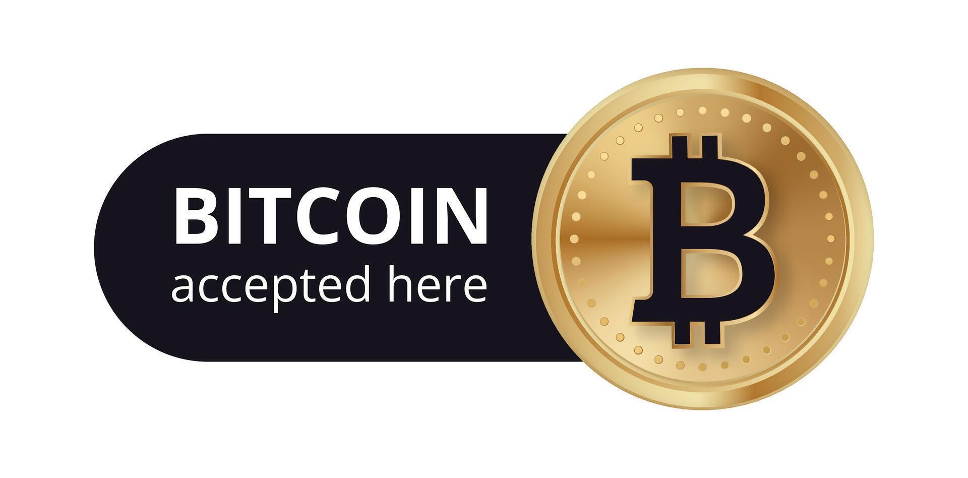 Bitcoin wallet pay accept illustration vector