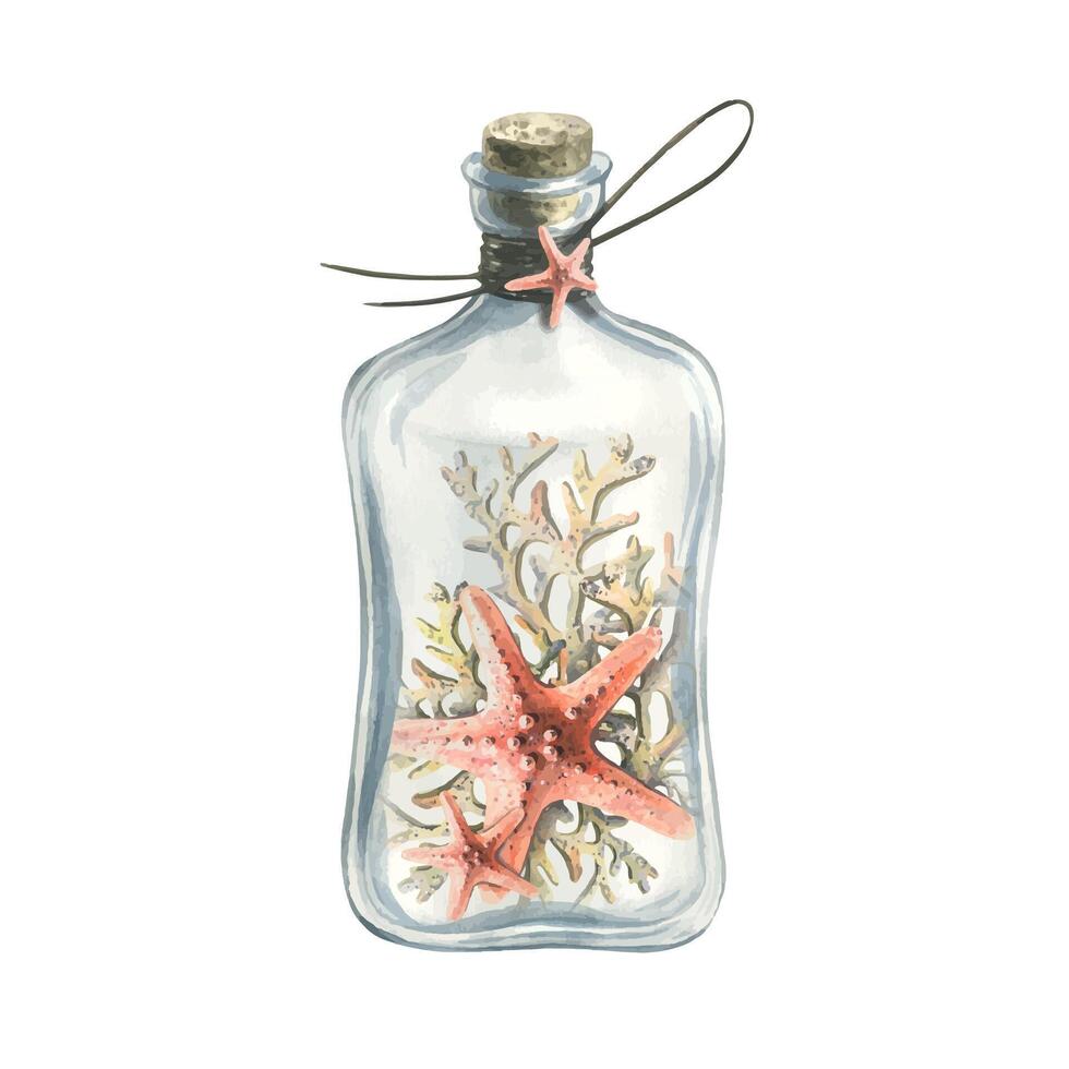 Watercolor illustration of a starfish with corals in a glass bottle with a cork and a rope. For the design and decoration of posters, postcards, souvenirs, prints, banners. vector
