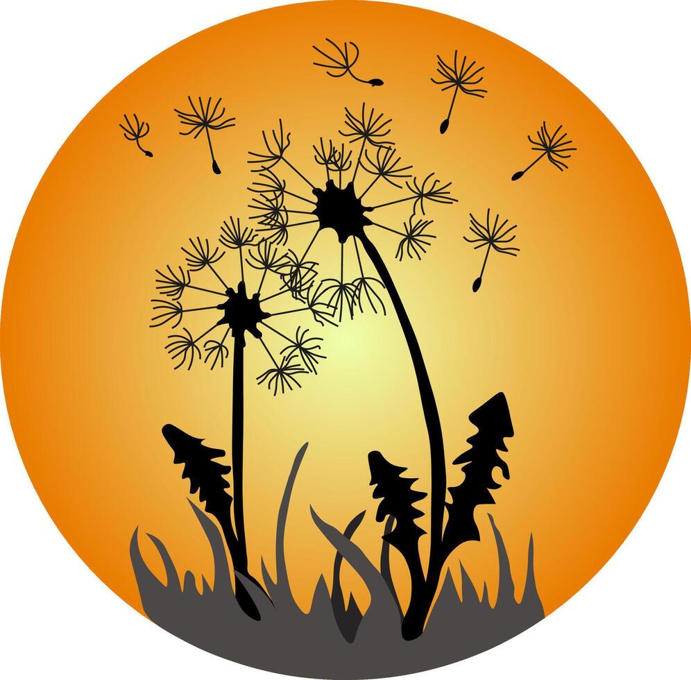Drawing of dandelions at sunset vector