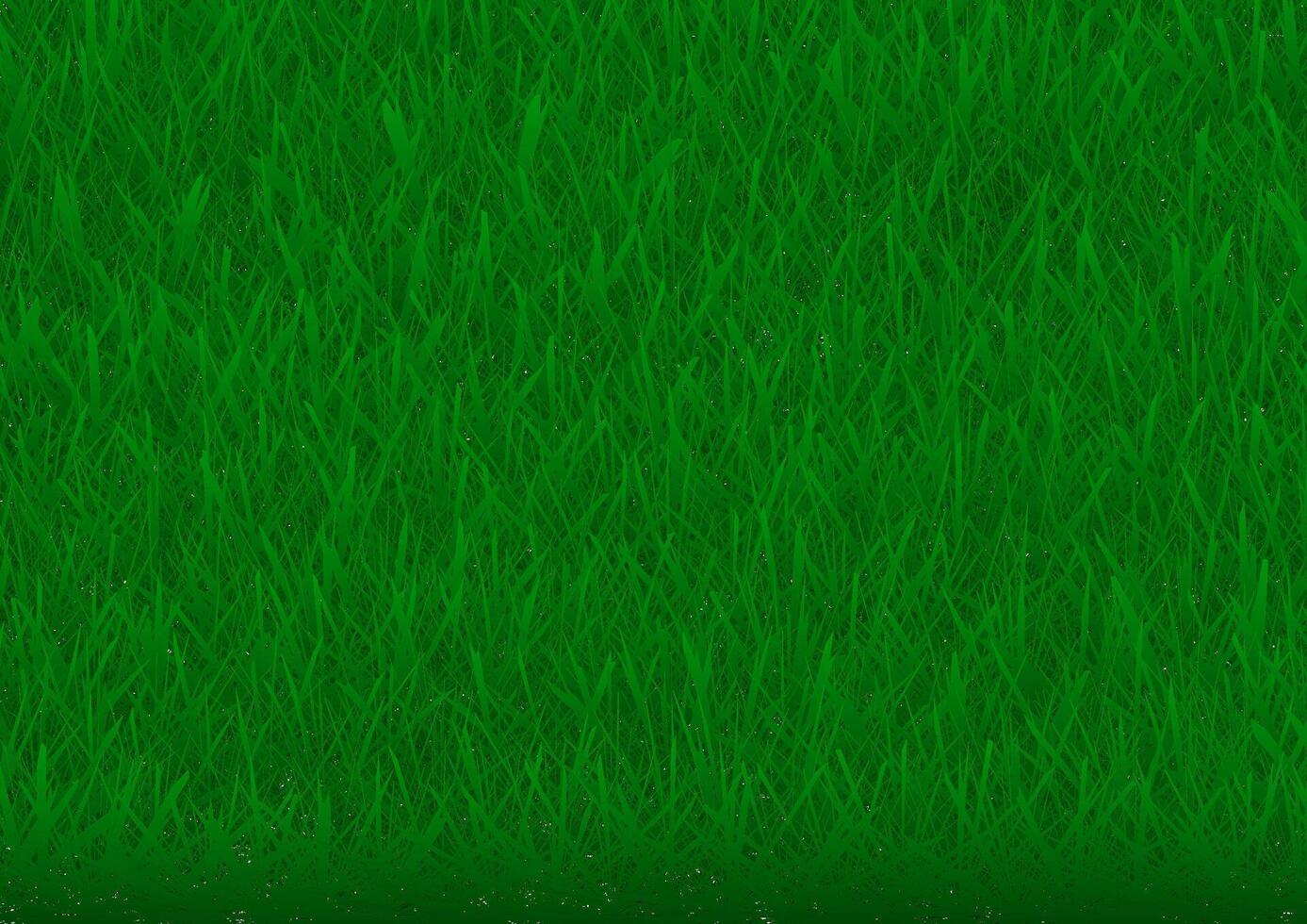 green grass background vector