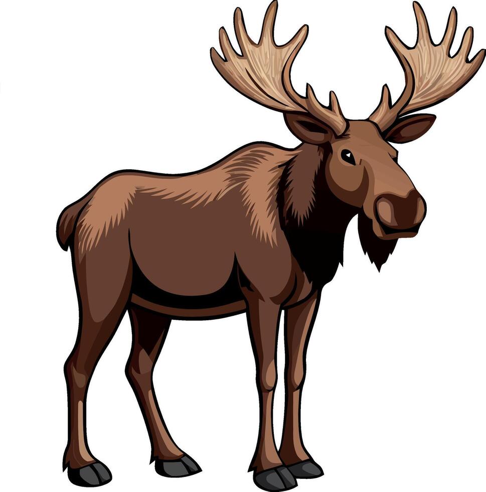 herbivorous animal moose with large horns vector