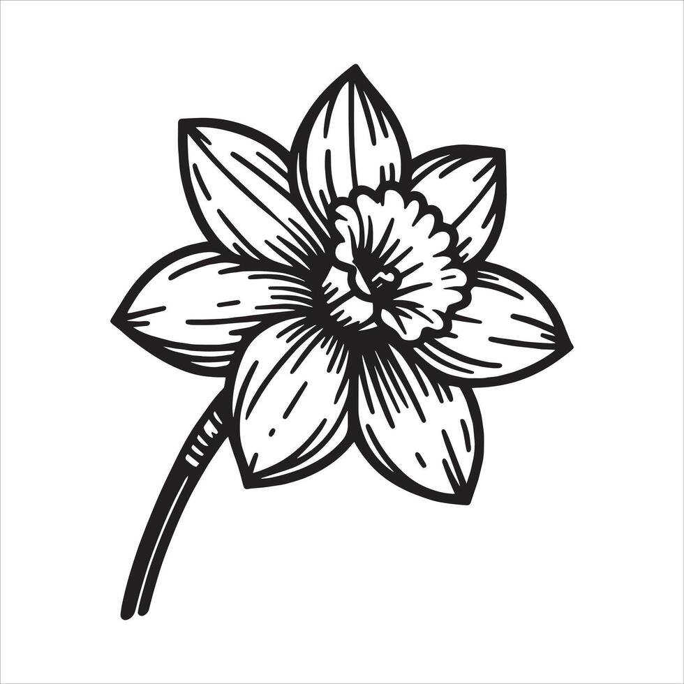 Hand Drawn Flowers vector