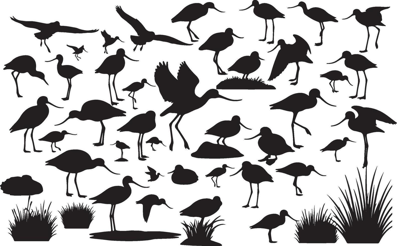 A collection of silhouettes of birds and plants vector