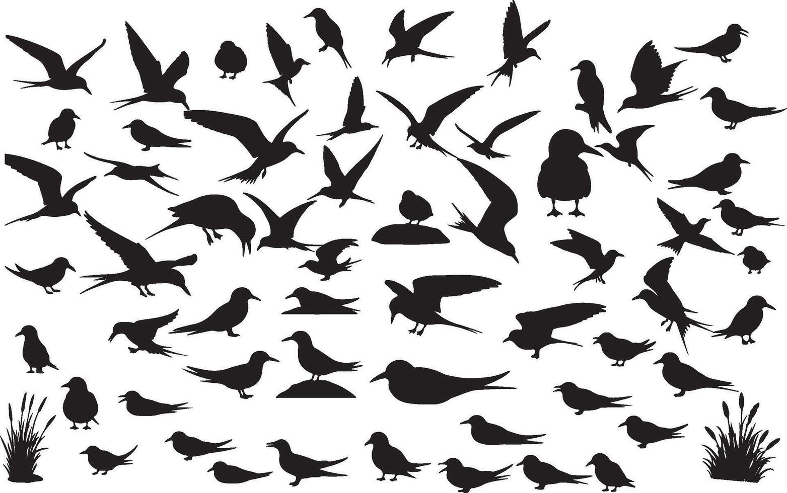 A collection of silhouettes of birds and other animals vector
