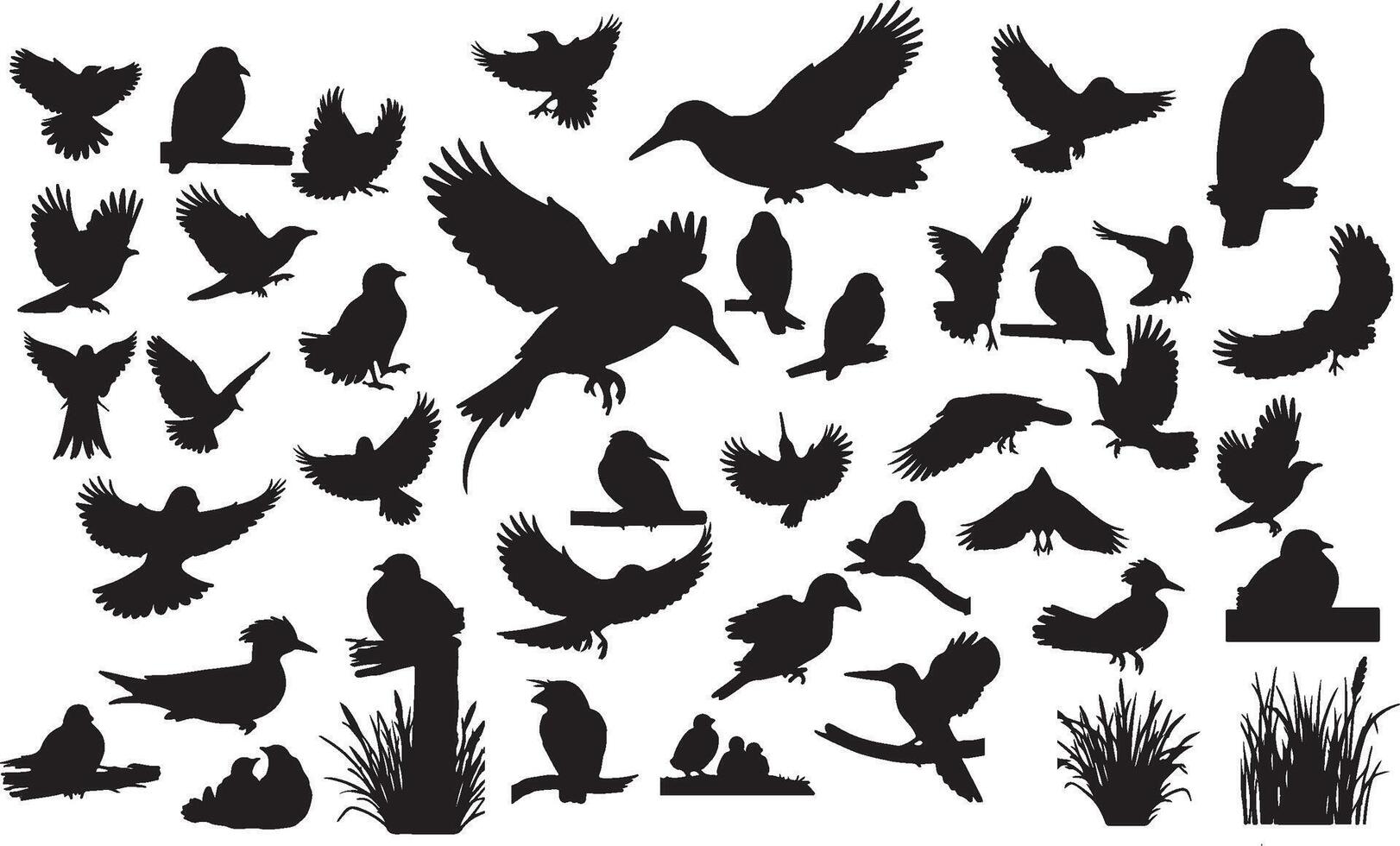 Set of silhouettes of birds and birds in flight vector