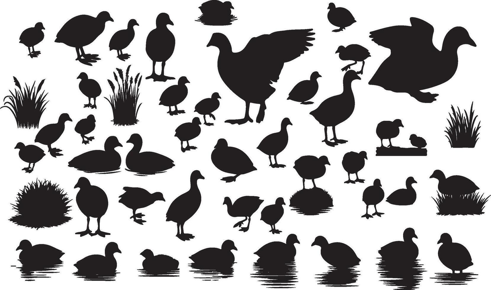 A collection of silhouettes of ducks and geese vector