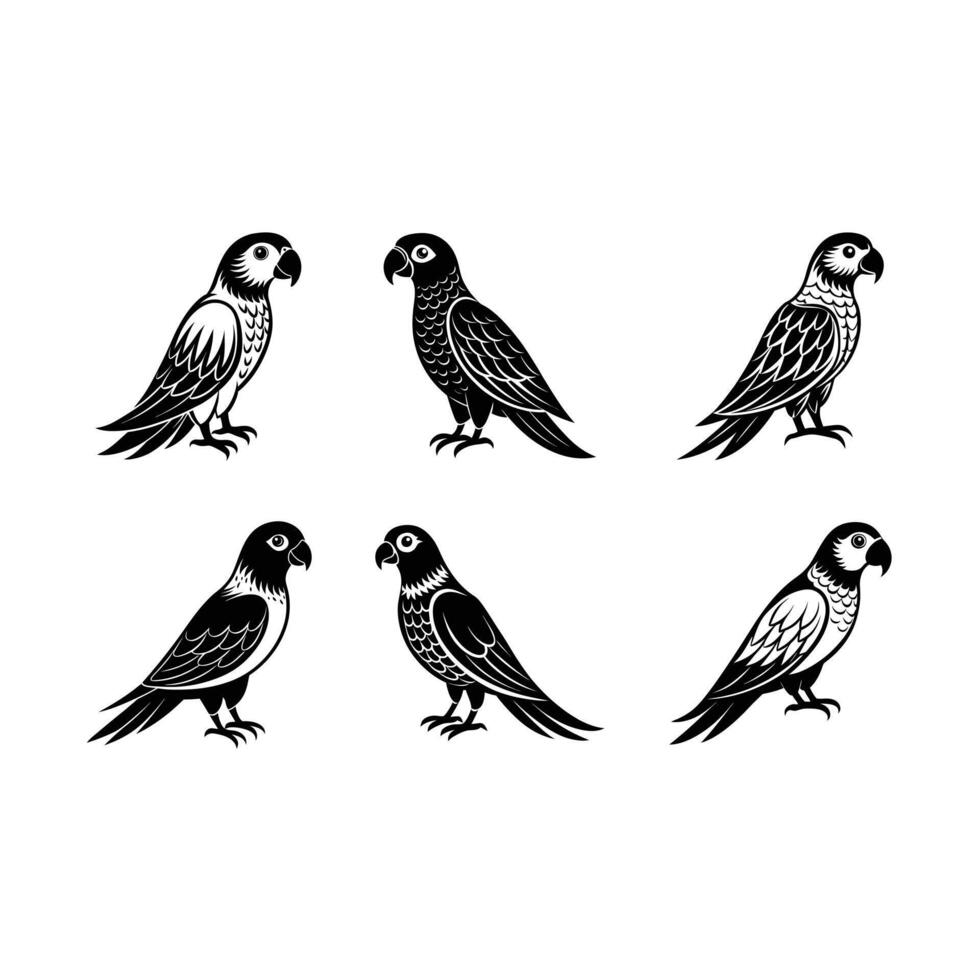 Parrot Graphic Design File for Digital Projects vector
