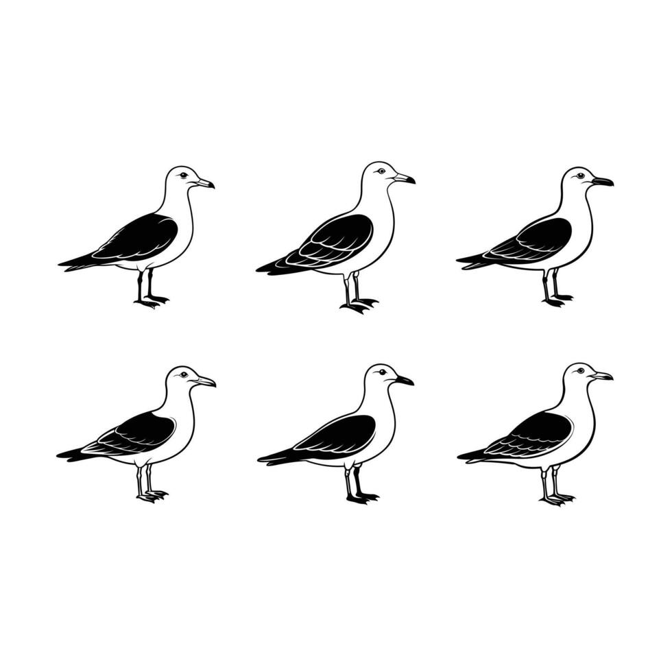 Seagull Graphic Design File for Creative Projects vector