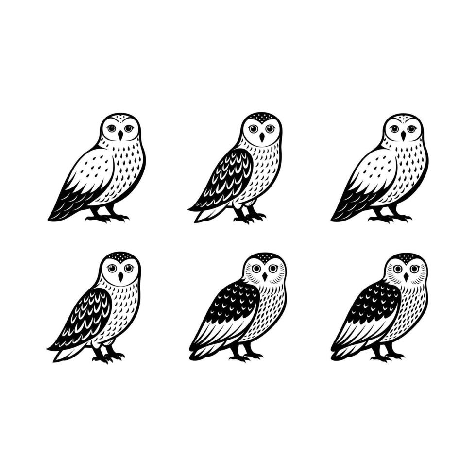 Snowy Owl Graphic Design - Winter Wildlife Art Illustration vector