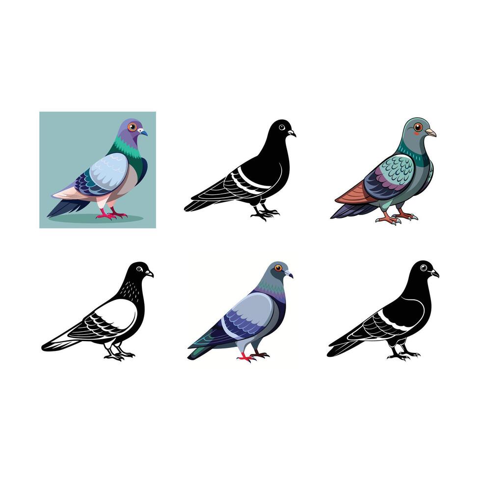 Pigeon Graphic Design File for Digital Use vector