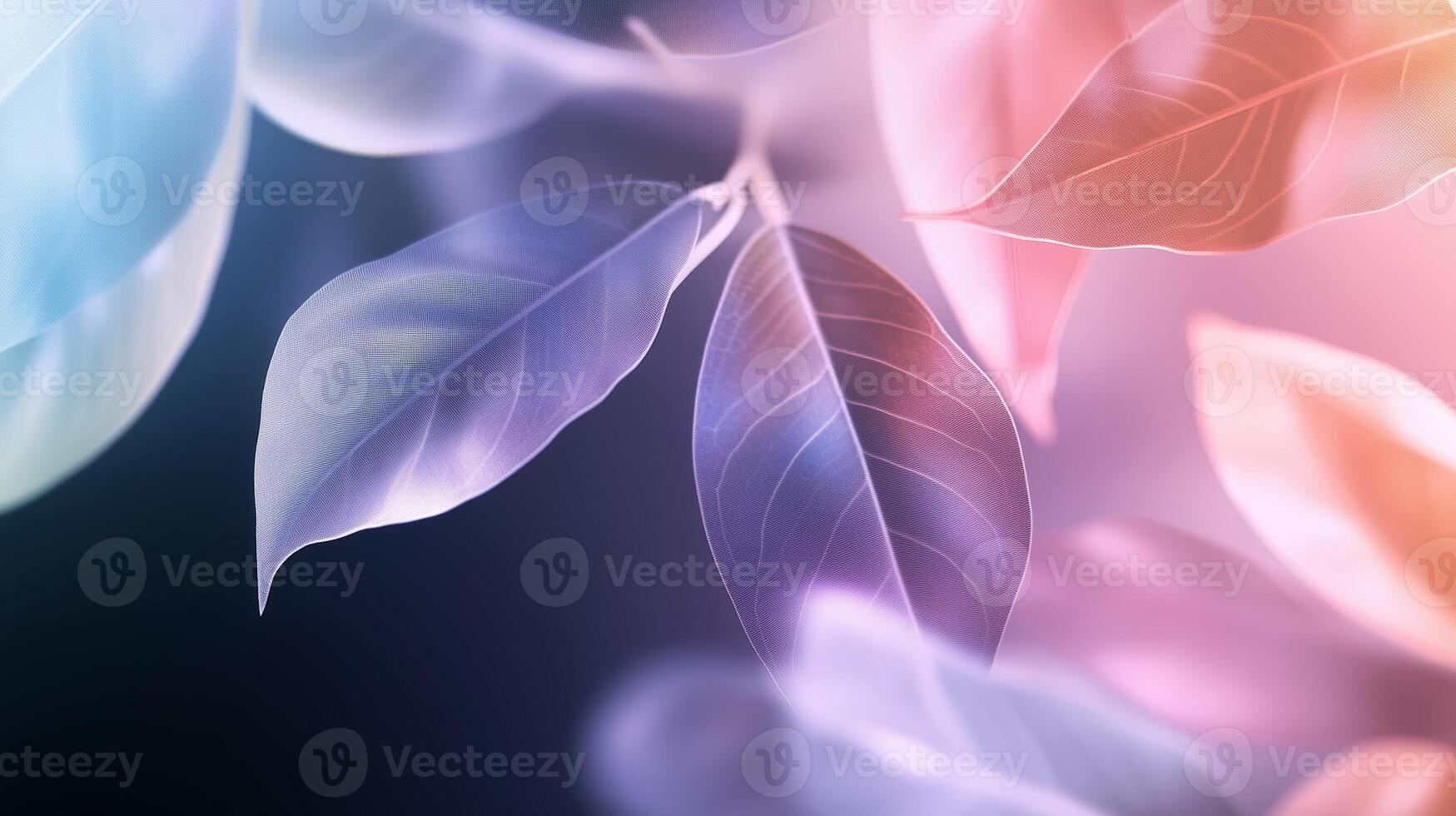 Colorful and translucent leaves illuminated by soft light against a dark background, creating a serene atmosphere photo