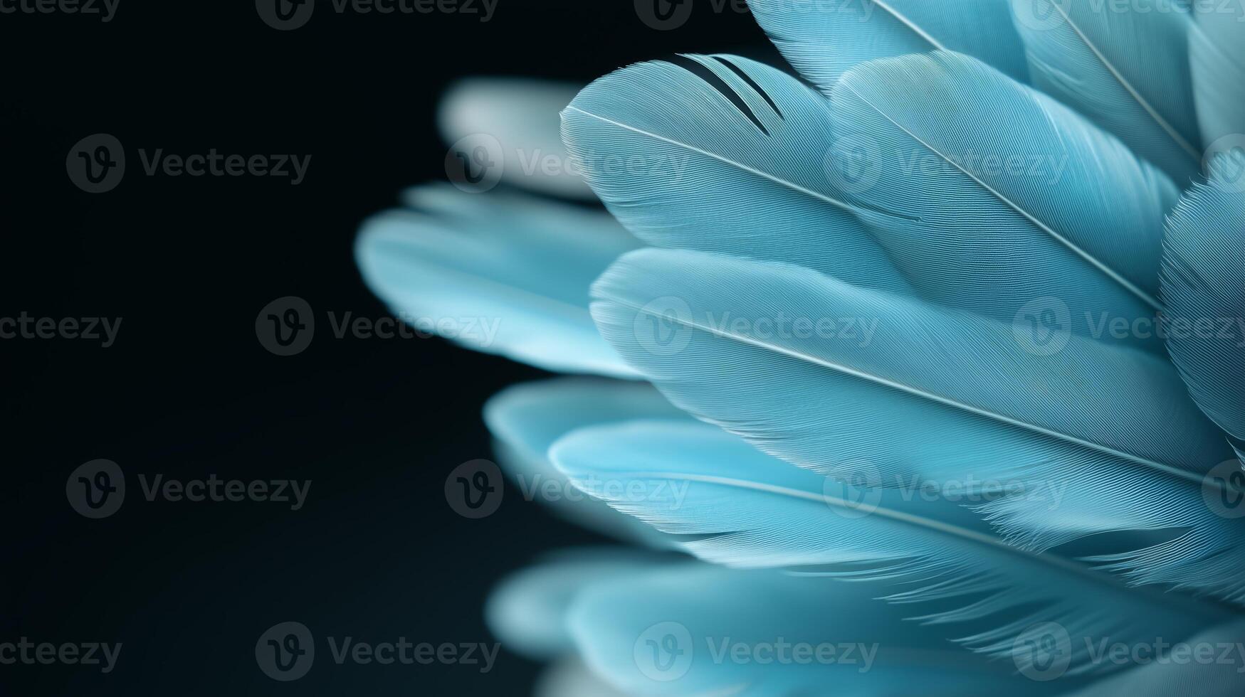 Beautiful blue feathers showcasing intricate details and textures against a dark background photo