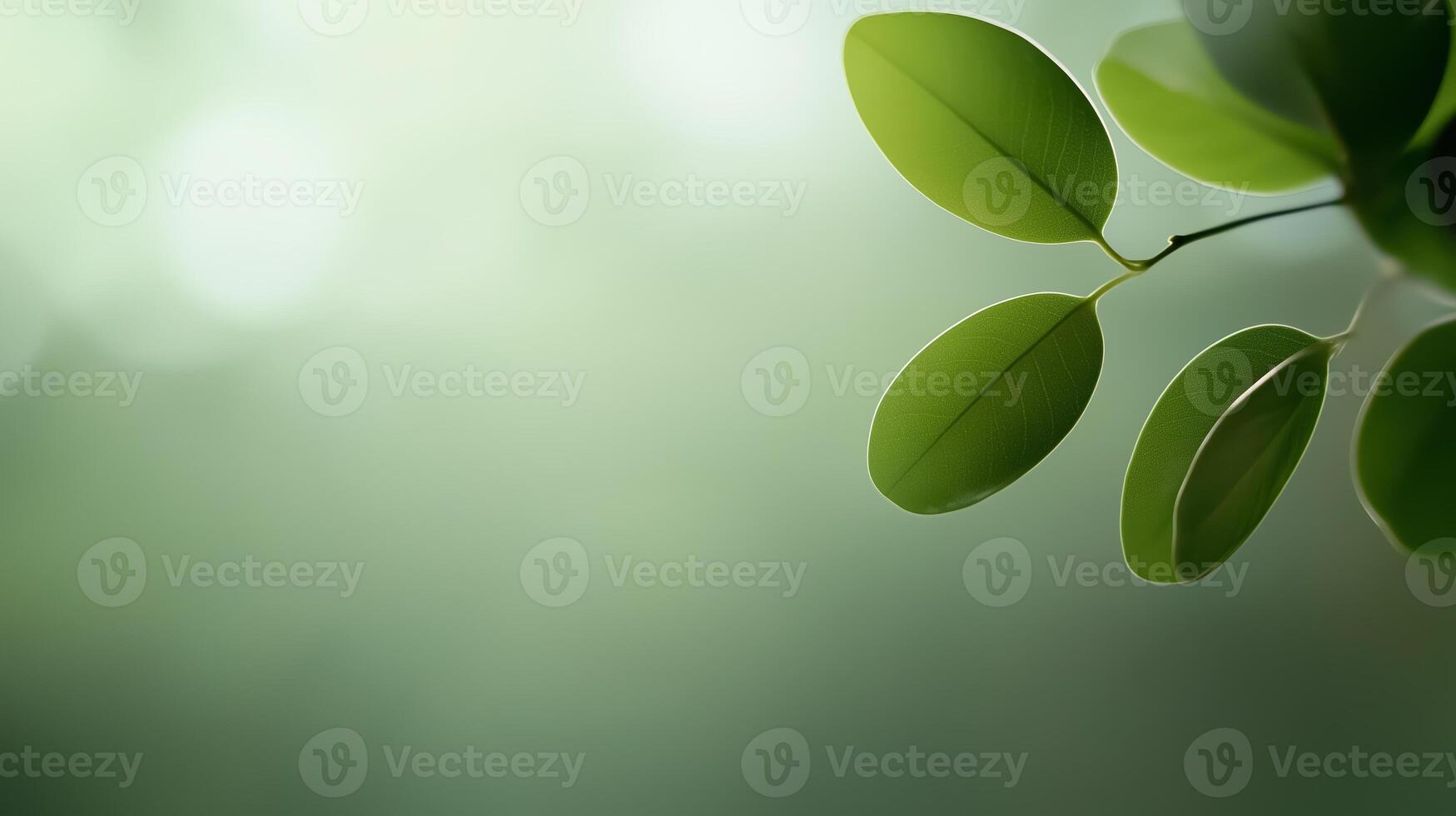Green leaves gently swaying in a calm environment with soft light creating a serene atmosphere photo