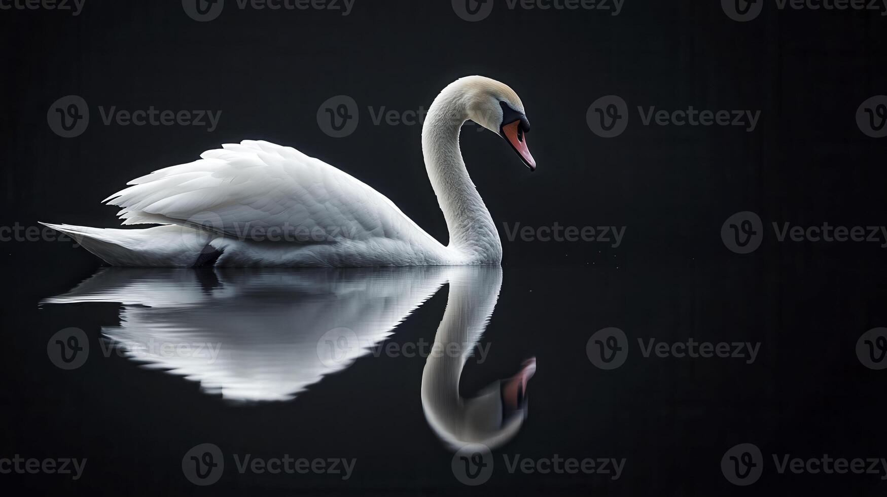 Elegant swan gliding on still water at dusk, creating a captivating reflection beneath the fading light photo
