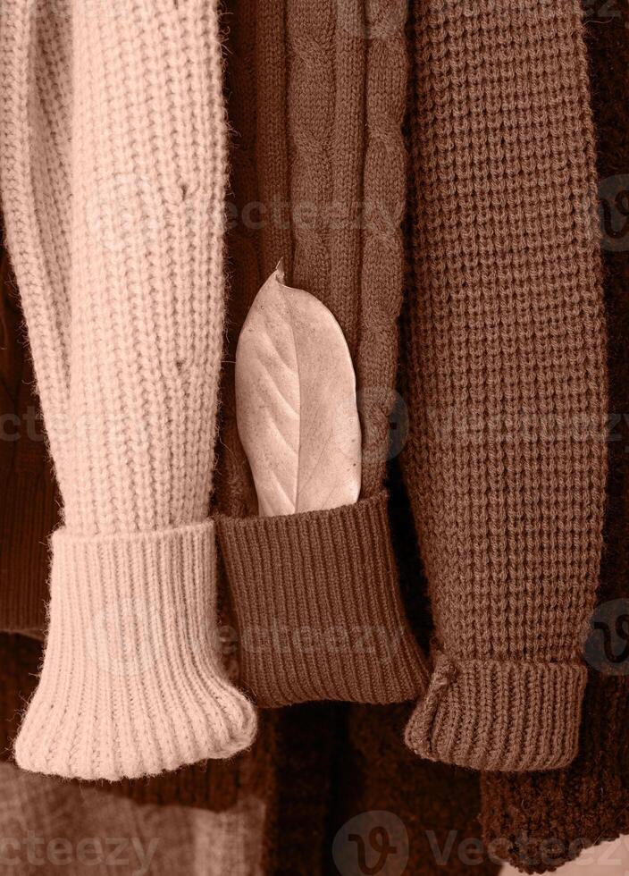 Mocha Mousse - color of the year 2025. Row of different colorful Knitted sweaters hang on hangers photo