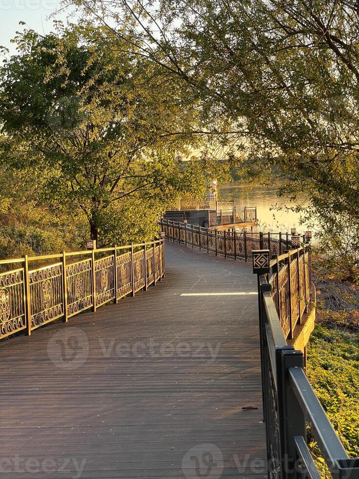 Wooden path winding through trees along the river bank at sunset photo