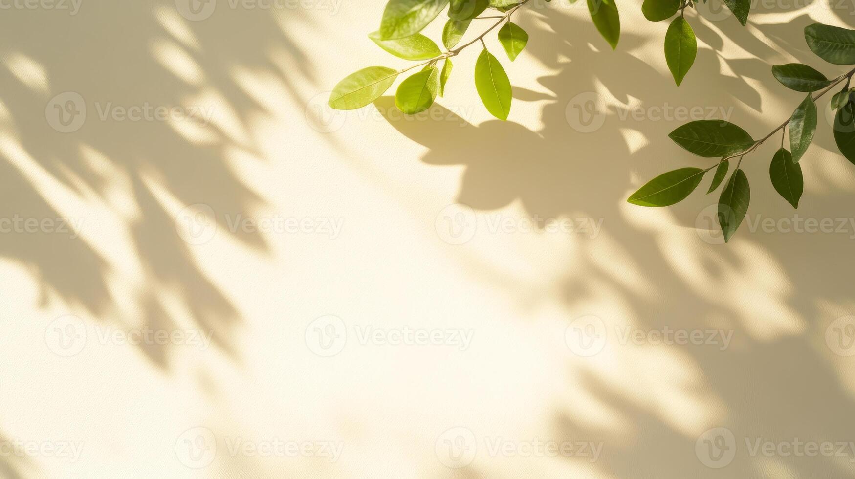 Green leaves casting shadows on light background create serene and minimalistic summer scene photo
