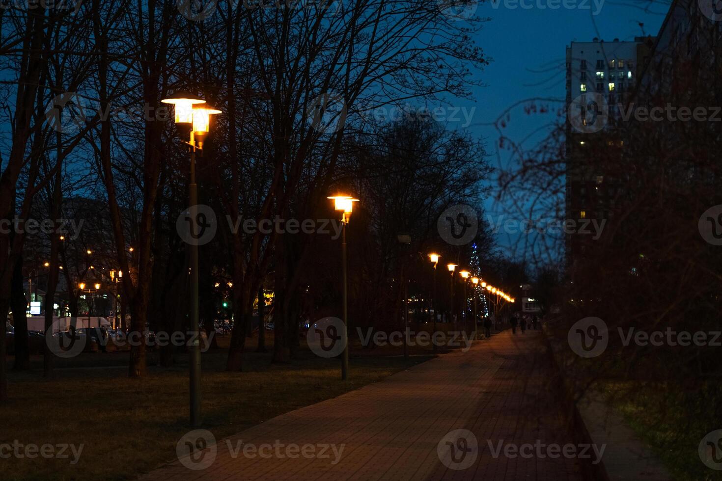 A pedestrian path illuminated by lanterns in the evening, in December photo