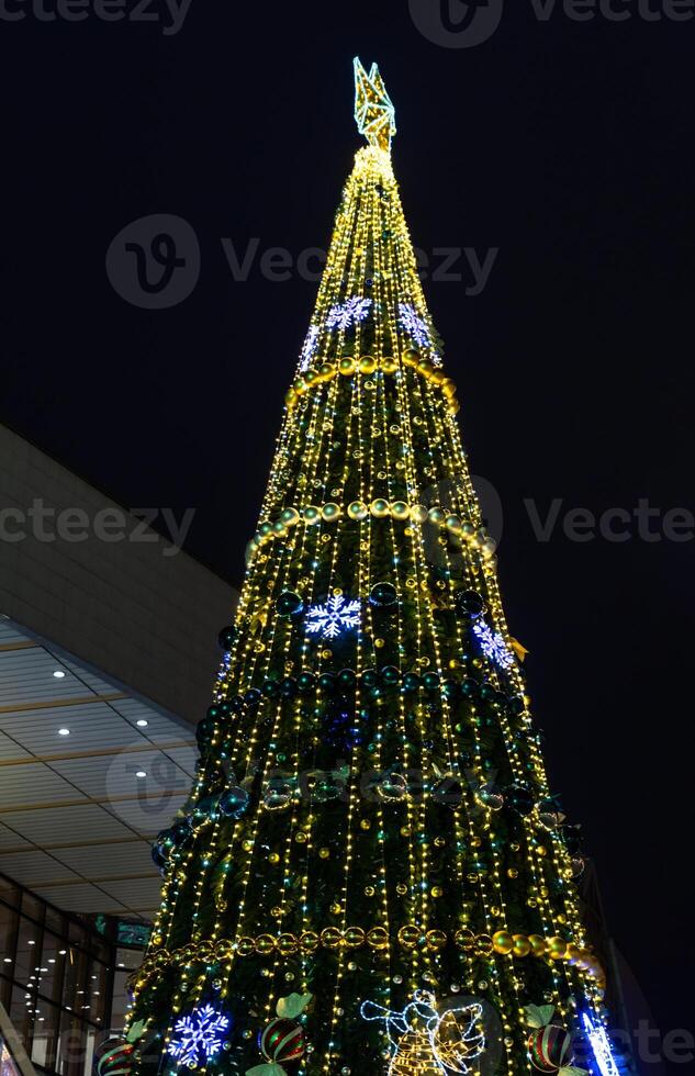 A Christmas tree at the railway station in Minsk. Christmas tree at night photo