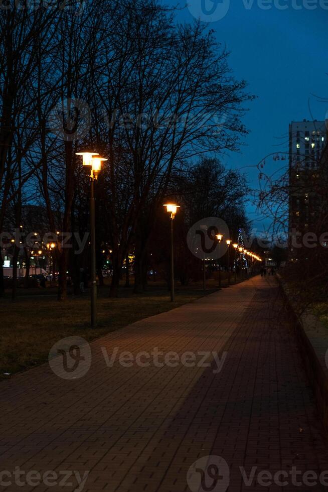 A pedestrian path illuminated by lanterns in the evening, in December photo