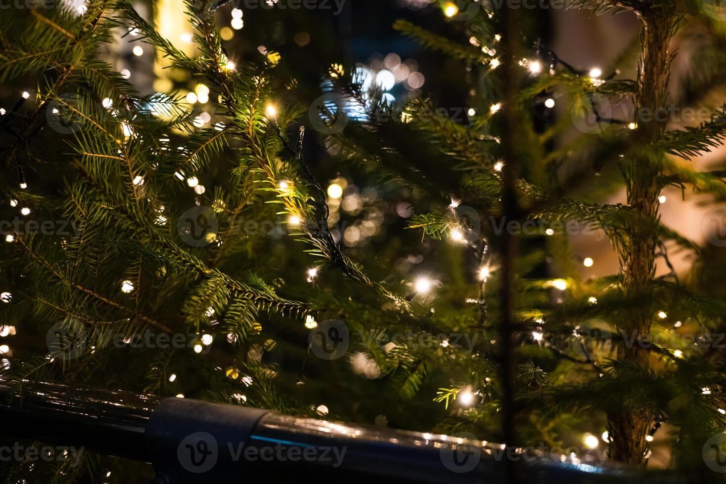 Christmas tree in close-up. Garland on the branches of a fir tree photo
