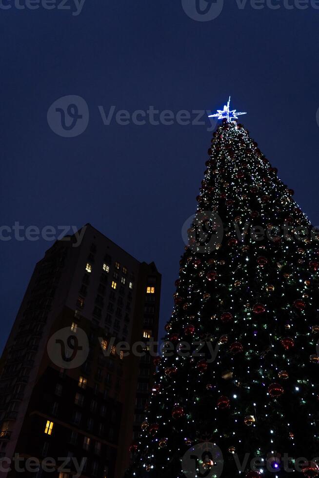 New Year's tree on the background of a multi-storey building photo