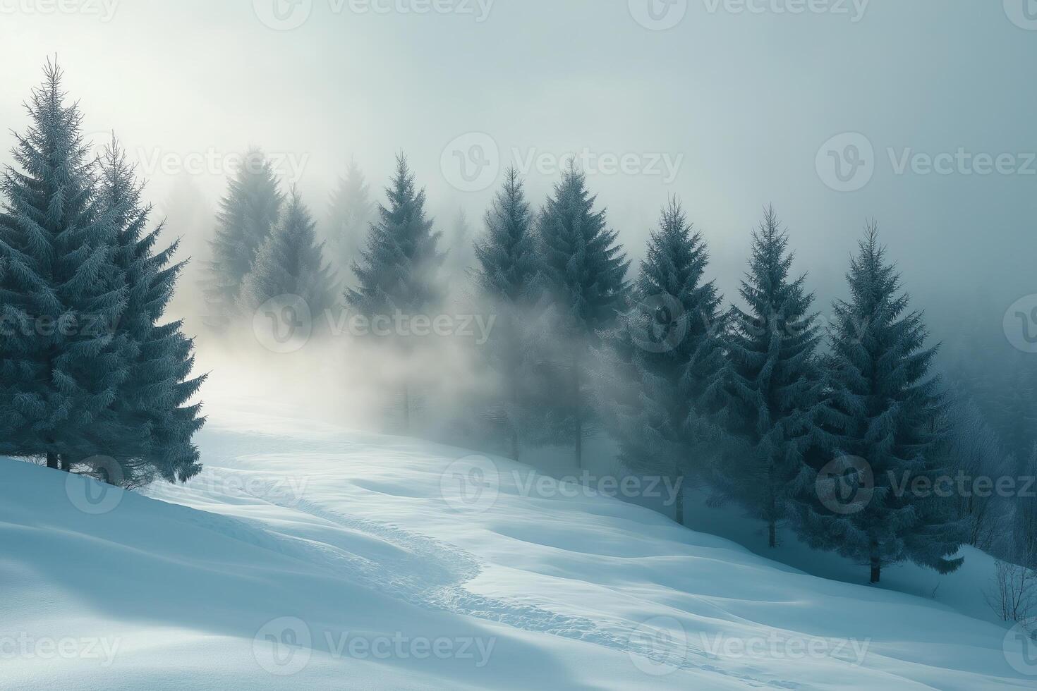 Fog rolling over snow covered pine trees on mountainside winter landscape photo