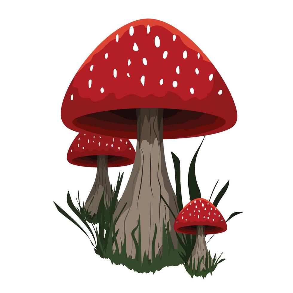 Red mushrooms illustration isolated on white background, Cartoon mushroom illustration vector