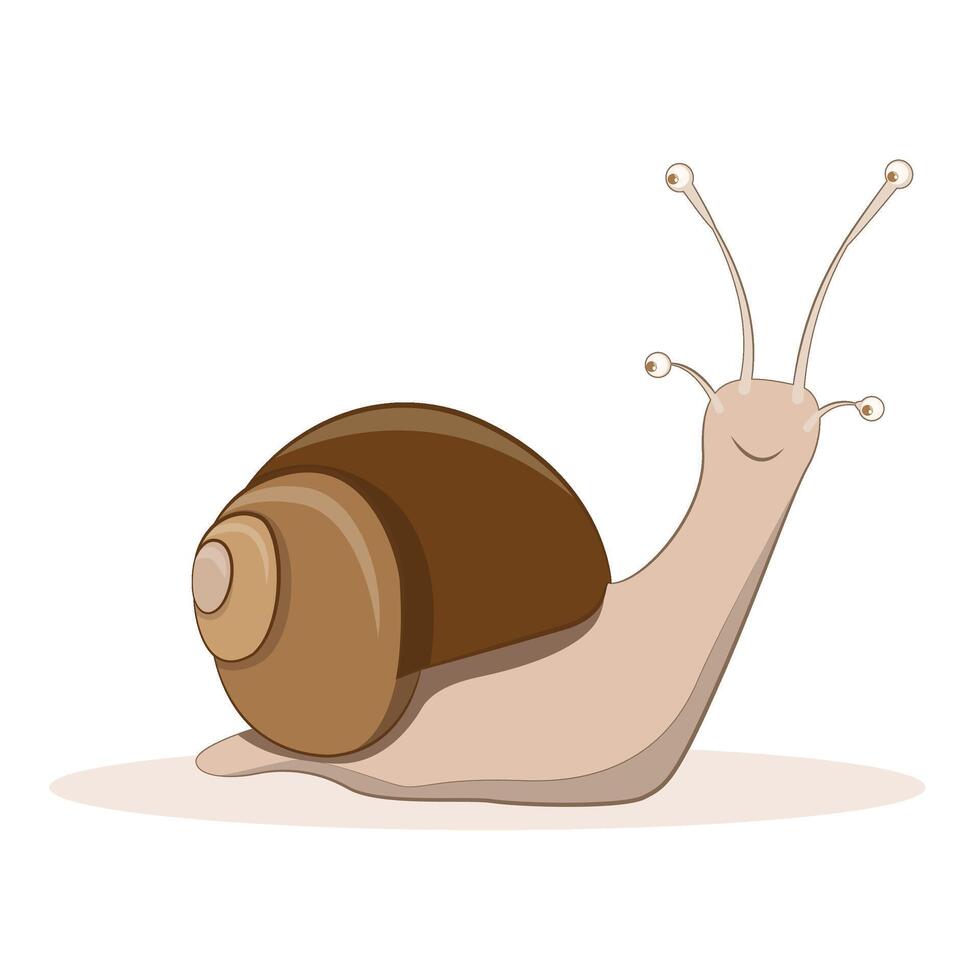 Snail illustration, cartoon clipart character, animal in flat style. Wild animals, wild creatures, wildlife concept. Snail design isolated on white vector