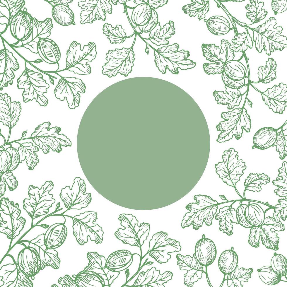 Border background with Gooseberry for text. Hand drawn engraved border with berries harvest, branches and fruits of sweet gooseberries for label, logo, paper, design, sign. Food illustration vector