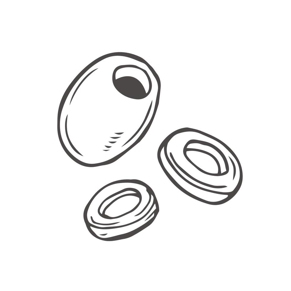 Olive sketch isolated on white background vector