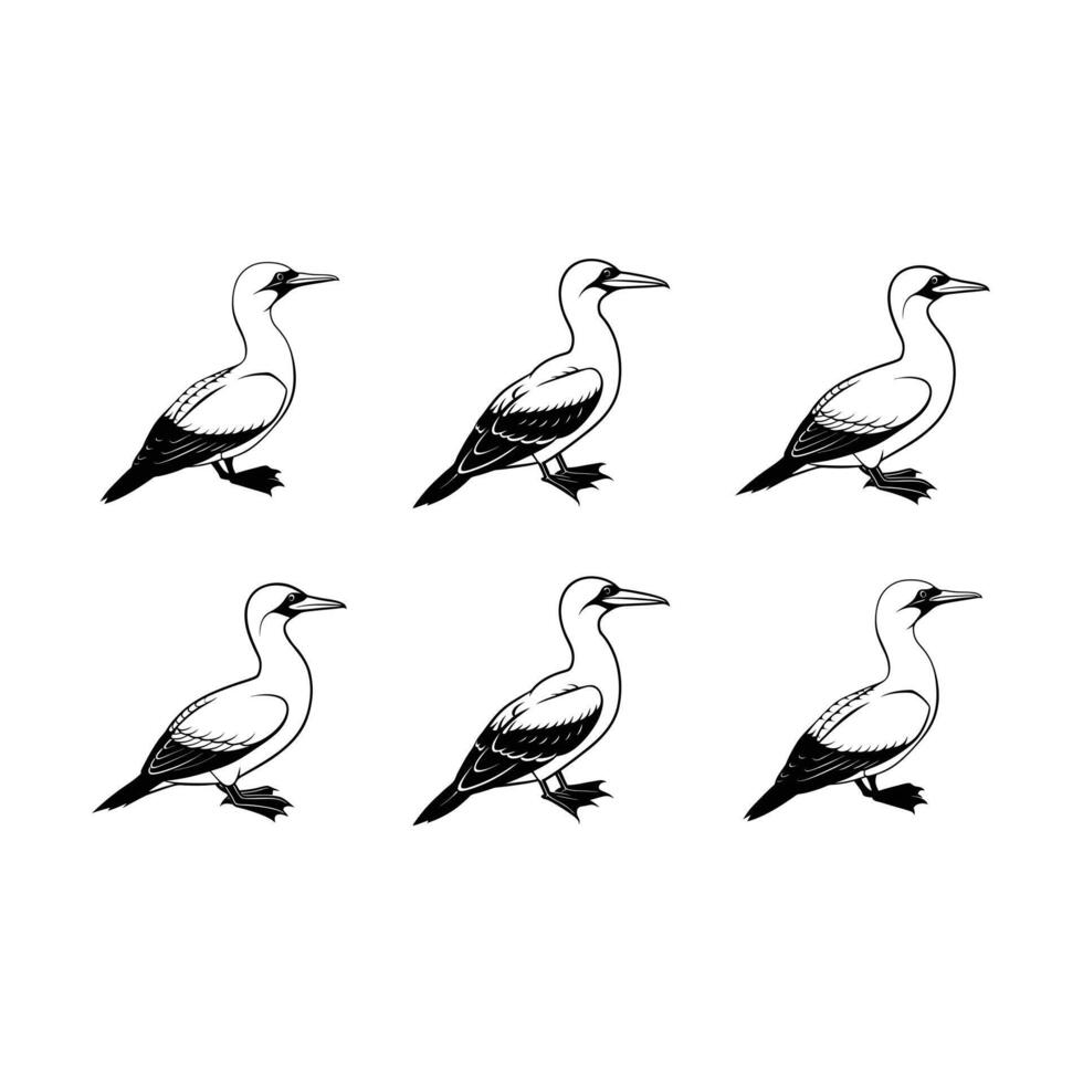 and Linocut Silhouette Design of Gannet Bird vector