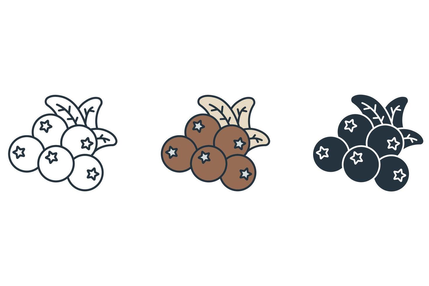 cranberry icons symbol elements for infographic web vector