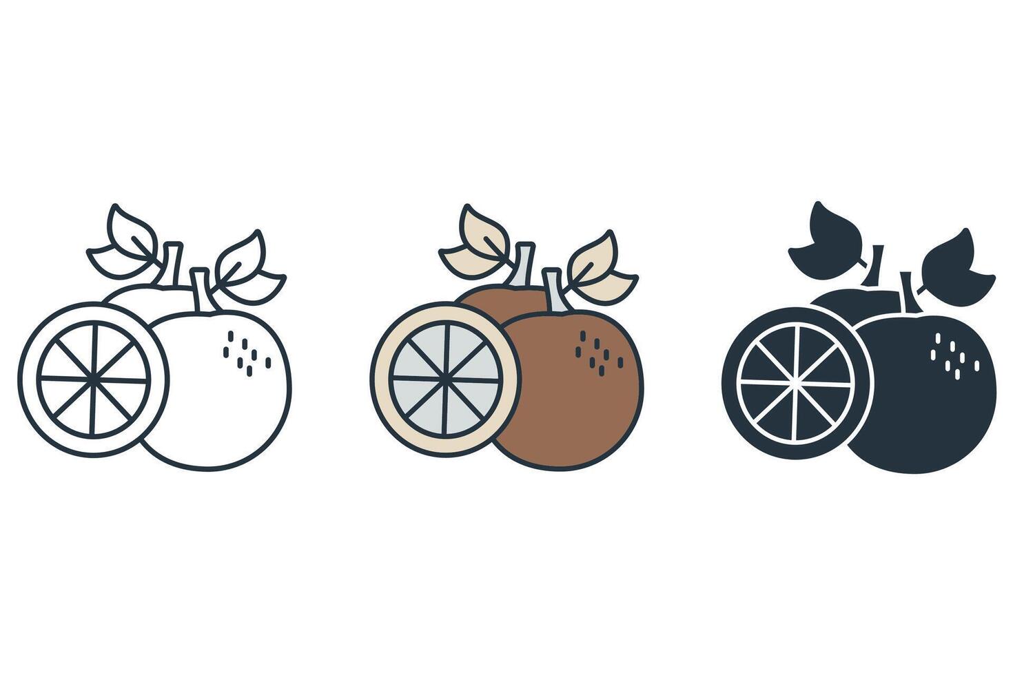 Grapefruit icons symbol elements for infographic web vector