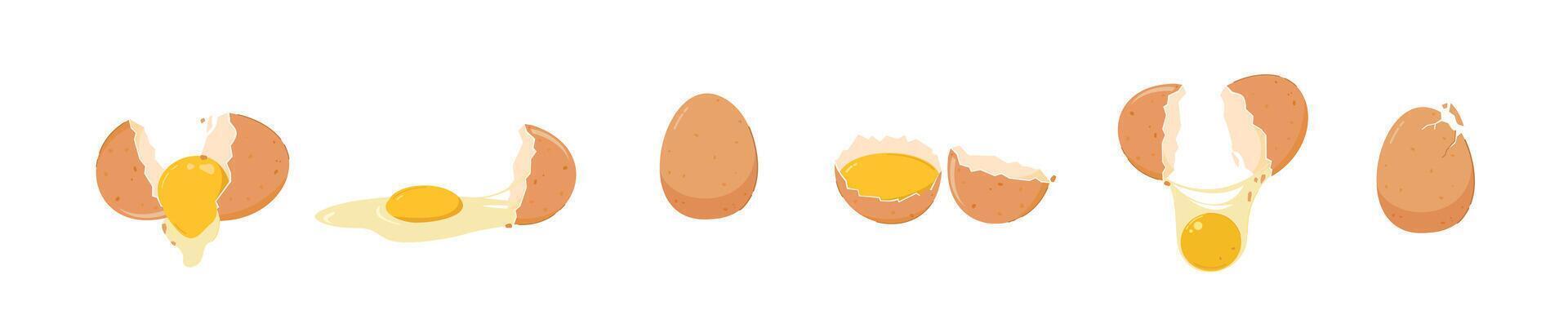 set raw chicken eggs in various conditions, on isolated background. for posters and web icons vector
