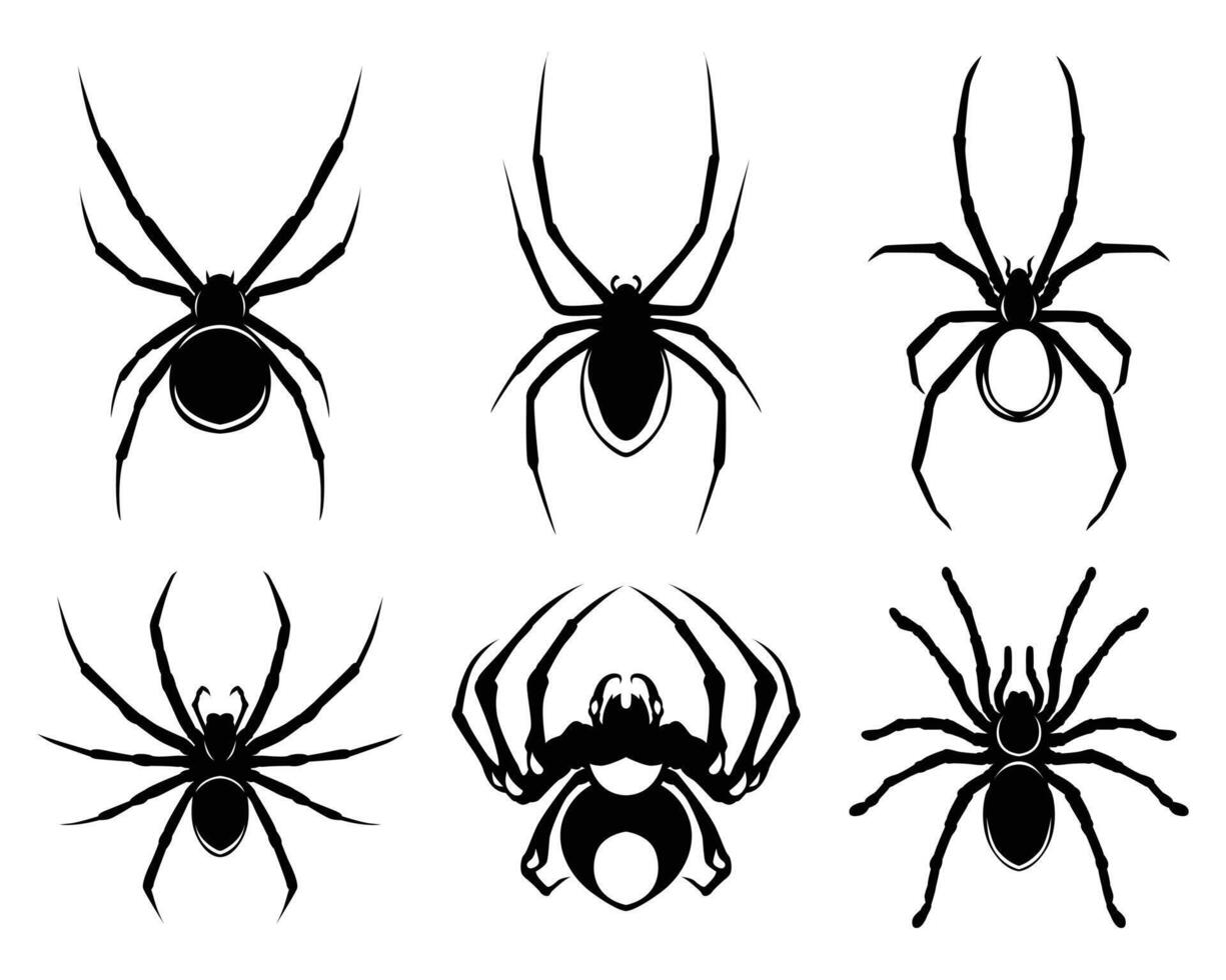 Collection of different black spider silhouettes vector