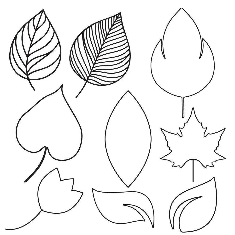 Collection of leaves Illustration vector