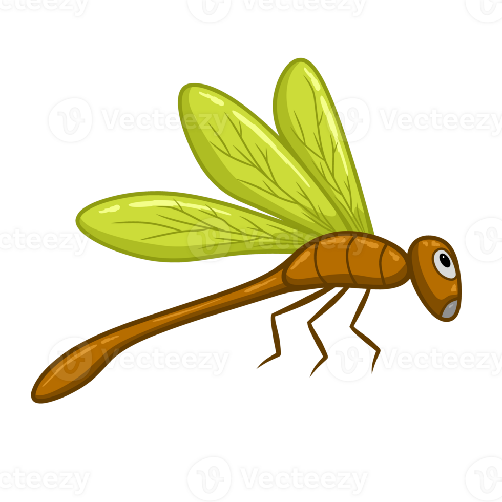 illustration of a dragonfly png