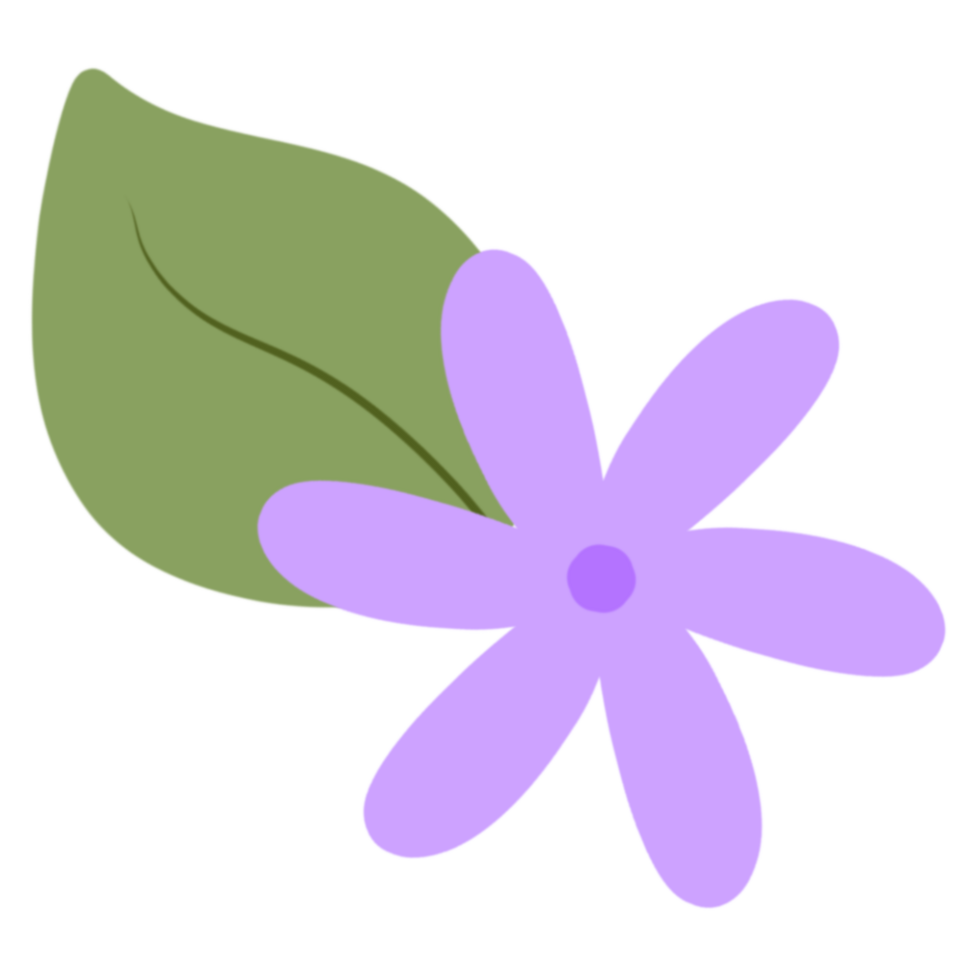 Beauty Purple Flowers png