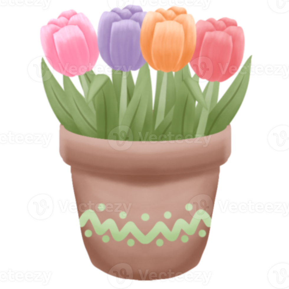 Watercolor Tulip in Pot png